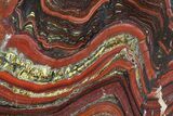 Polished Tiger Iron Stromatolite - ( Billion Years) #92964-1